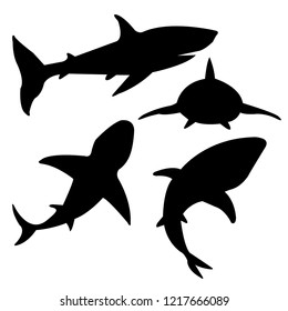 shark vectors icon