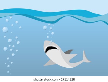 shark in the water