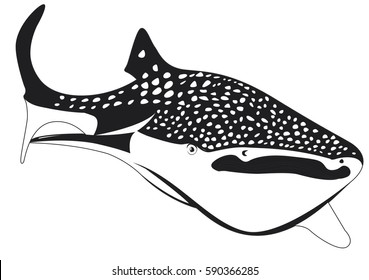 shark clipart black and white