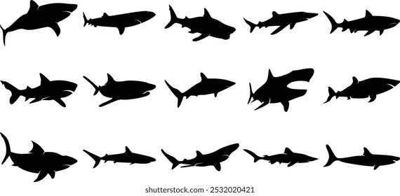 Shark, whale, dolphin, fish silhouette vector icon set illustration.
