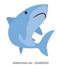 shark wild animal life character