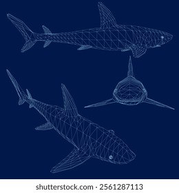 shark wireframe set. Vector illustration
