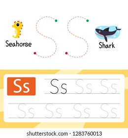 shark worksheet vector design