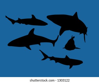 sharks