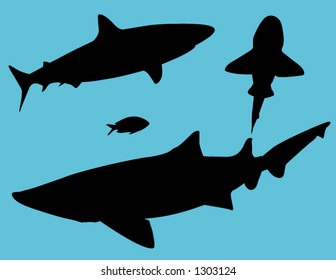 sharks