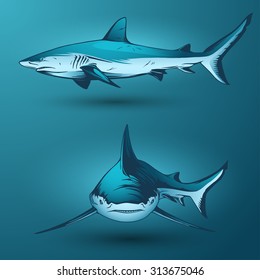 Sharks