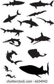 sharks