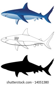 Sharks - 3 images isolated on white - vector