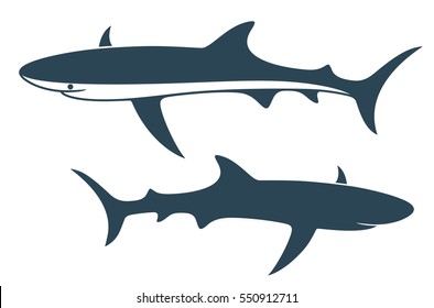 Sharks. Abstract fish on white background