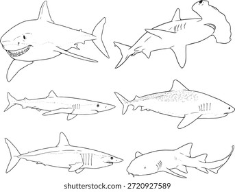 Colección de tiburones Line Art – Ilustración vectorial de múltiples especies de tiburones