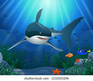 Sharks and coral reefs in the sea. underwater beauty. Vector illustration