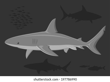 Sharks in the deep sea. Sharks. Set of great white sharks over dark background. Vector sharks. Black and white illustration. Vector illustration.