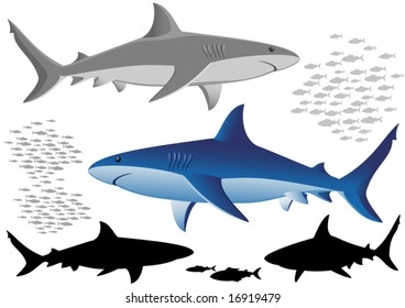 Sharks and fish - vector