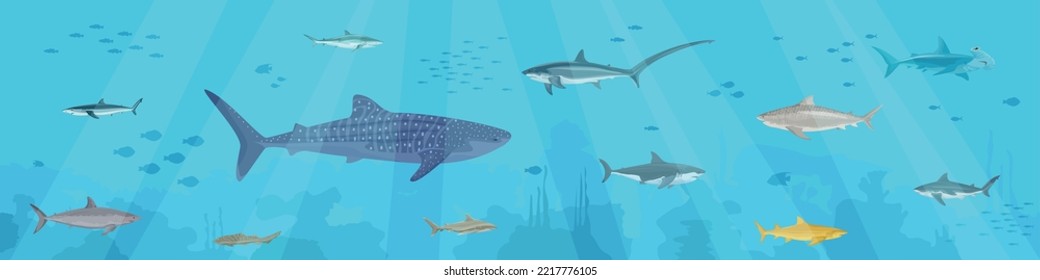 Sharks flat composition with underwater scenery and clusters of small fishes with predatory fishes sea weed vector illustration