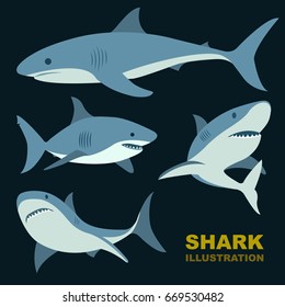 Sharks illustration set.