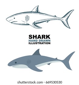 Sharks illustration set.