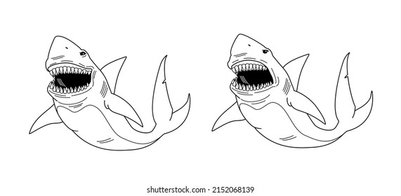 Sharks Images isolated on white. Coloring book