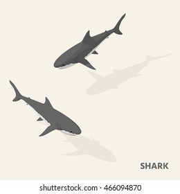Sharks in isometric view with shadow.