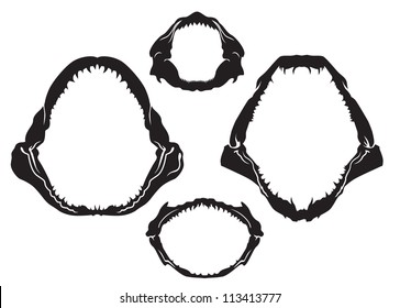 Download Shark Jaw High Res Stock Images Shutterstock