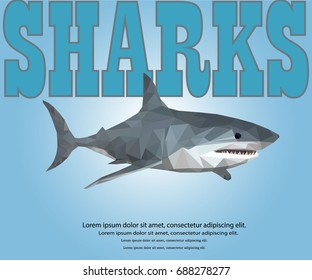 sharks logo for a club or sport team, SHARK LOW POLY POLYGONAL, TRIANGLE , Predatory fish on white background, business concept, vector image.