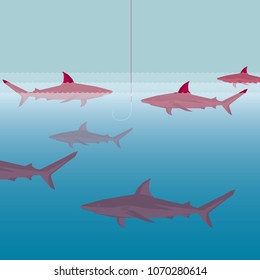 Sharks in the ocean, a hook hanging from above.