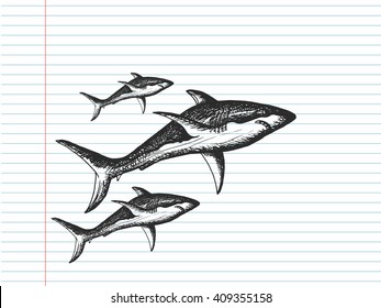 Sharks on copybook background. Free hand drawn. Vector illustration. 