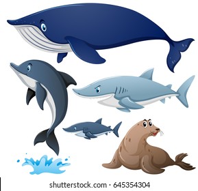 Sharks and other sea animals illustration
