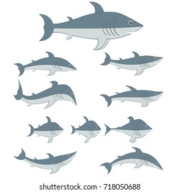 Sharks set of different shapes and types. Cartoon characters. Vector illustrations.