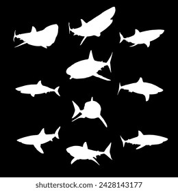 sharks silhouette hand drawing vector isolated on black background.