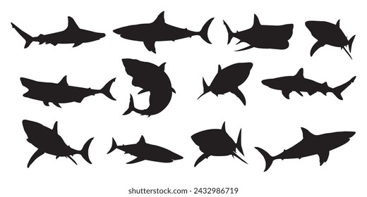 sharks in silhouette set or silhouette of fishes, Shark black silhouette set, Hammerhead Sharks silhouettes Vector