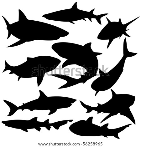 Sharks silhouette vector illustration.