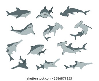 Sharks vector illustration. Cartoon Hammerhead shark and sawfish in different poses. Marine predator fish set