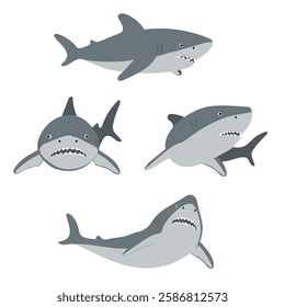 Sharks vector illustration. Cartoon shark in different poses. Marine predator fish set