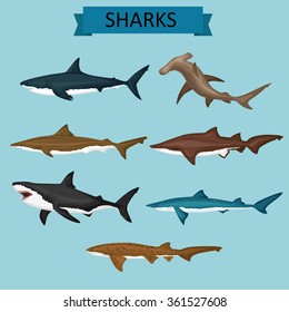 Sharks vector image design set for illustrations, prints, logo, decoration and other creative and design needs. 