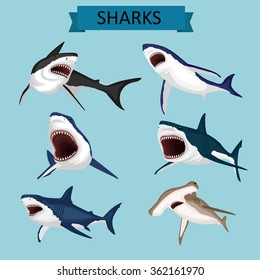 Sharks vector image design set for illustrations, prints, logo, decoration and other creative and design needs. 