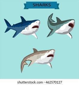 Sharks vector image design set for illustrations, prints, logo, decoration and other creative and design needs.