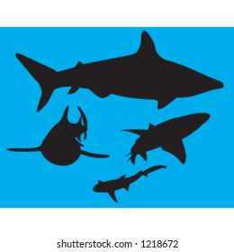 sharks in water