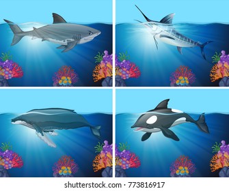 Sharks and whales in the ocean illustration