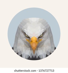 Sharp Eagle Face, with low poly style art 