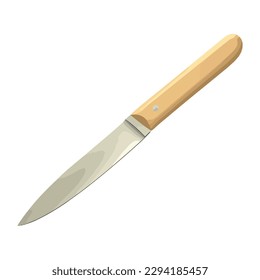 Cuchillo de cocina afilado con mango de madera aislado