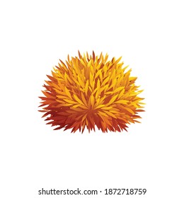 Sharp leaved decorative garden bush in autumn realistic vector illustration
