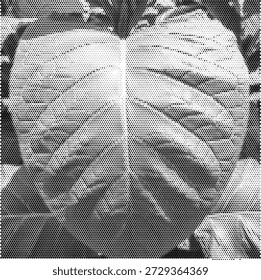 Una ilustración monótona aguda de una amplia hoja tropical con venas detalladas. Este diseño moderno es perfecto para la marca de diseño de interiores, folletos de bienestar de spa y etiquetas de productos orgánicos. La textura semitono añade un aspecto texturizado contemporáneo a la exuberante forma botánica. Ideal para transmitir temas de frescura, salud y abundancia natural. Archivo de Vector de alta calidad para marcas de identidad nítidas y claras.