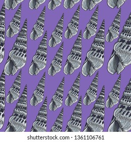 Sharp seashells seamless pattern on purple background.