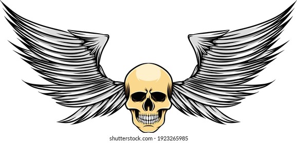 The sharp wings with the skinny head of the dead skull of illustration