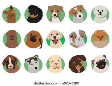 Sharpay, jack russell terrier, chow chow, pomeranian, husky, bichon frise, buldog, pekingese, rottwelier, dachsund, boxer, english bulldog, staffordshire terrier. Dogs, icon, logo, symbol. 