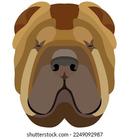 Sharpei face. Vector portrait of a dog head isolated on white background.