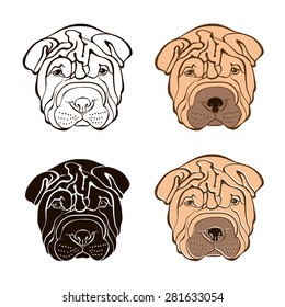 Sharpei face. Vector set. Hand-drawn vector illustration. Sketch, four isolated variants.