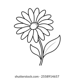 Shasta daisy flowers line art  Vector  on White background .daisy flowers