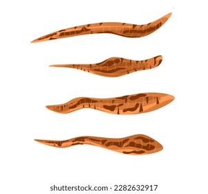 Shatavari roots icon in flat style isolated on white background. 