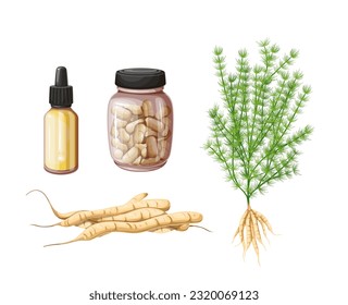 Shatavari set vector illustration. Cartoon isolated ayurvedic Asparagus racemosus plant and roots, shatavari oil in bottle and herbal remedy of Ayurveda medicine for healing female health disorders